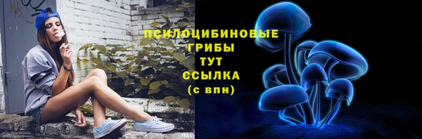 гашик Горно-Алтайск