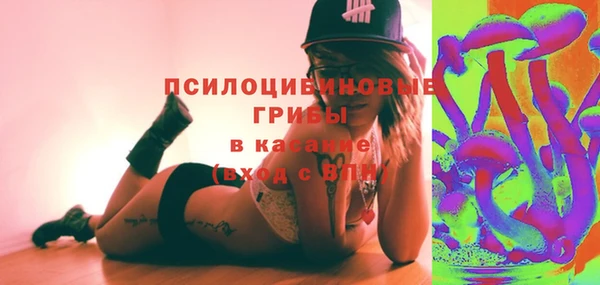 гашик Горно-Алтайск
