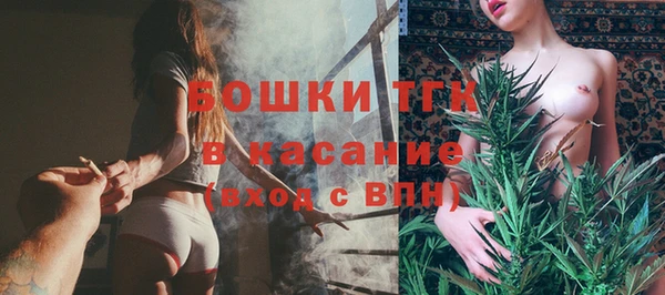 ГАЛЛЮЦИНОГЕННЫЕ ГРИБЫ Инта