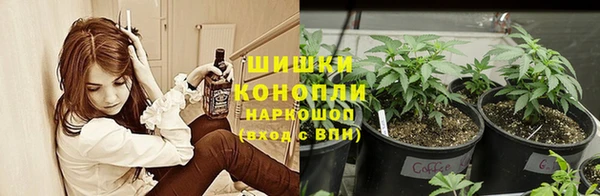 не бодяженный Горнозаводск
