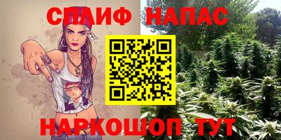 mdpv Кингисепп
