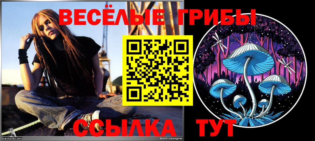 где купить   Вход с VPN  Кизилюрт  Галлюциногенные грибы Cubensis 